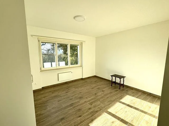 3 1/2-Zimmer-Villetta mit viel Land an sehr ruhiger, sonniger Aussi... – photo 6 sur 25