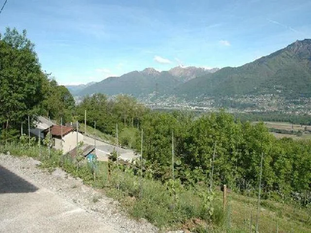 Rebberg mit Holzhäuschen an einer Panoramaaussichtslage / vignetto ...
