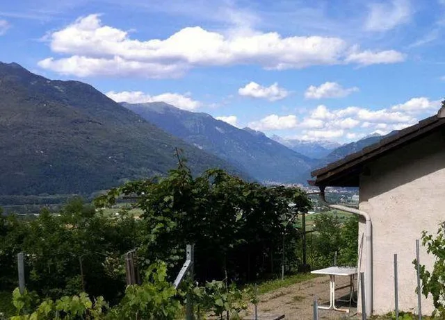 Rebberg mit Holzhäuschen an einer Panoramaaussichtslage / vignetto ...