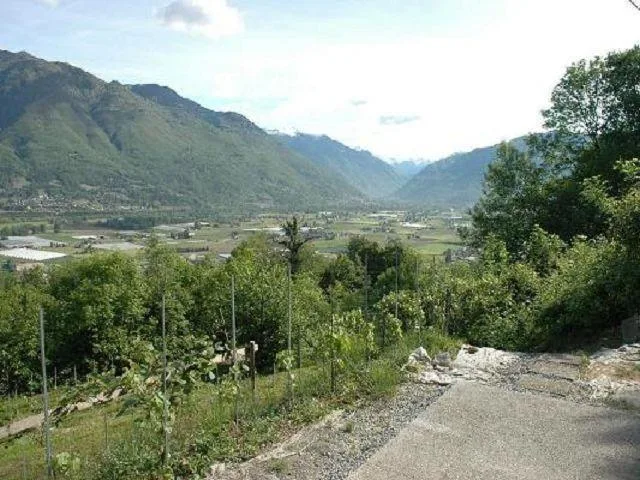 Rebberg mit Holzhäuschen an einer Panoramaaussichtslage / vignetto ...