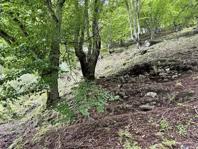 Rustico zum Ausbauen an sehr ruhiger, sonniger Aussichtslage / rust... – Foto 13 von 18