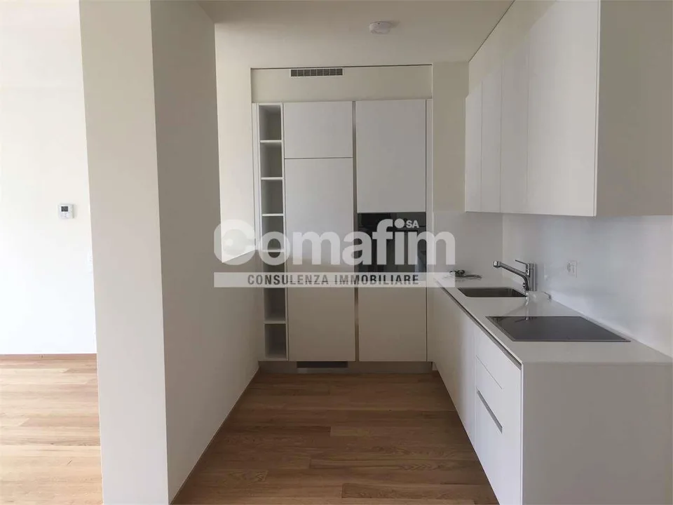 Lugano, ampio appartamento 2 1/2 loc. con giardino