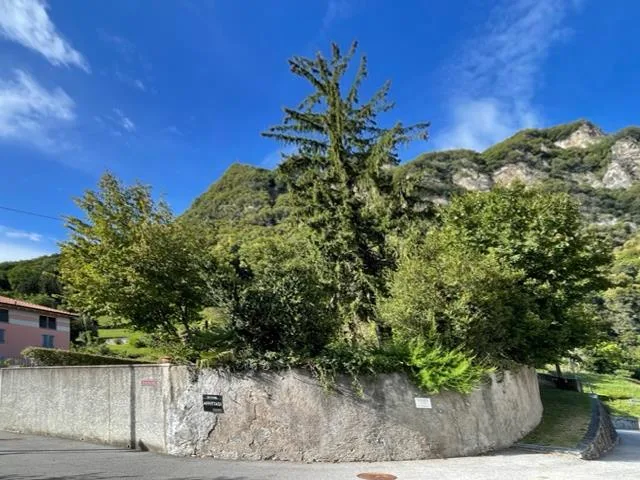 Terreno edificabile con licenza edilizia per 8 appartamenti – foto 9 di 10