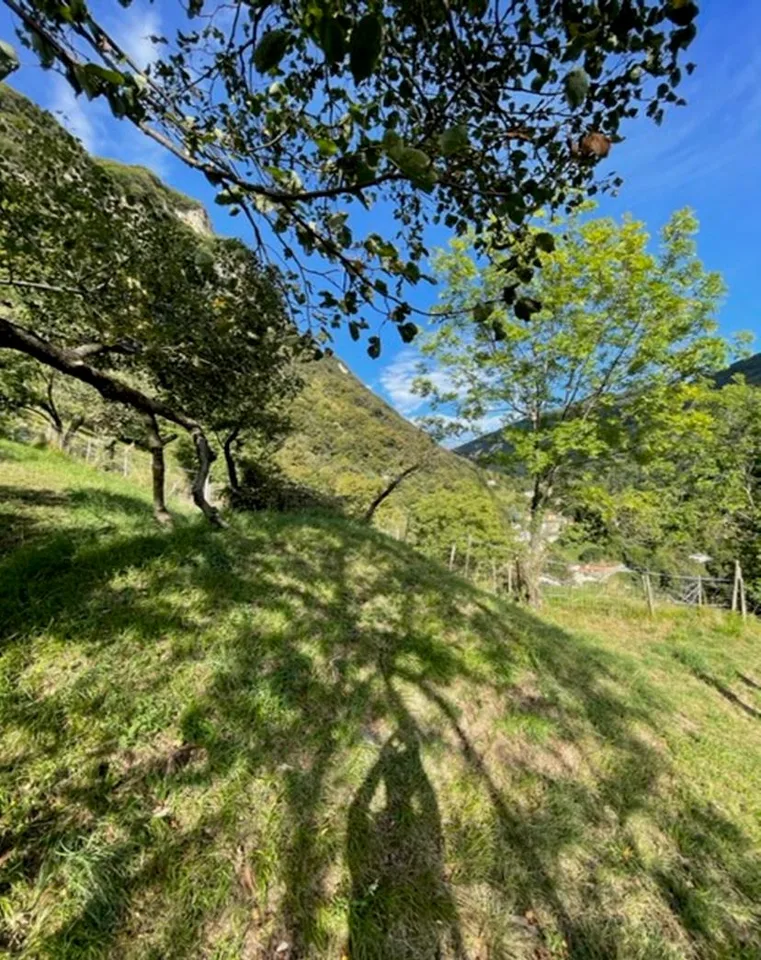 Terreno edificabile con licenza edilizia per 8 appartamenti – foto 7 di 10