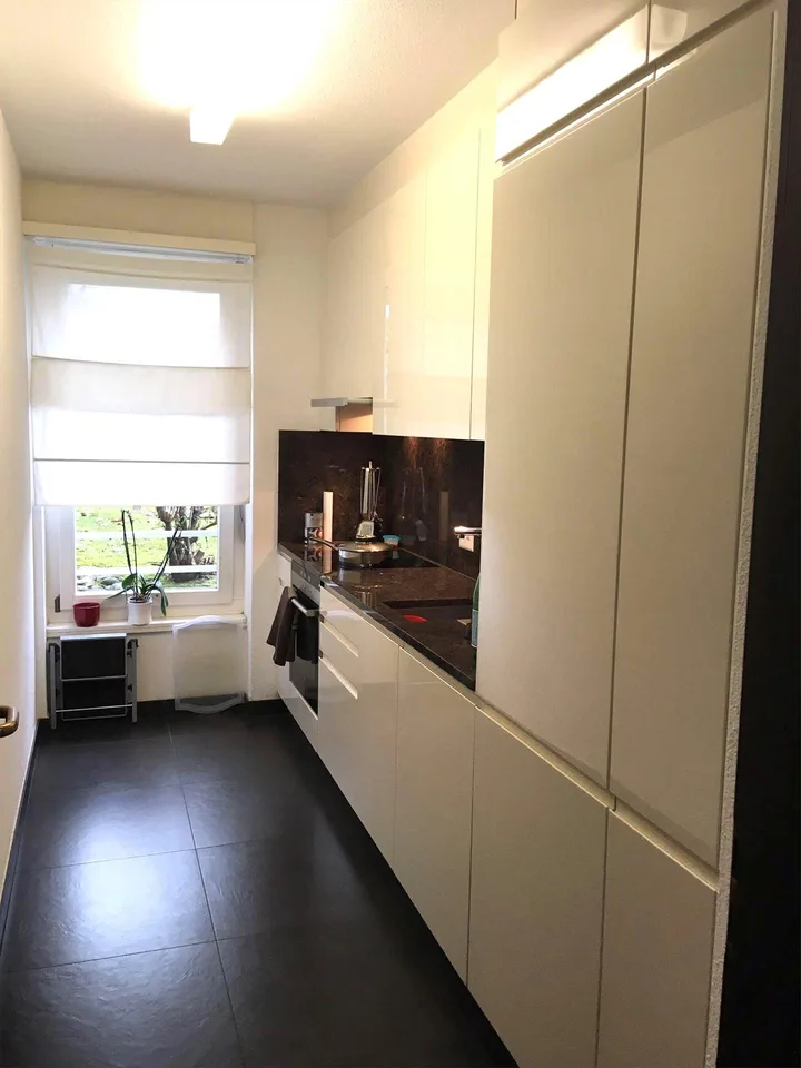3,5 LOC. CON GIARDINO E VISTA LAGO A PARADISO – ID 21316