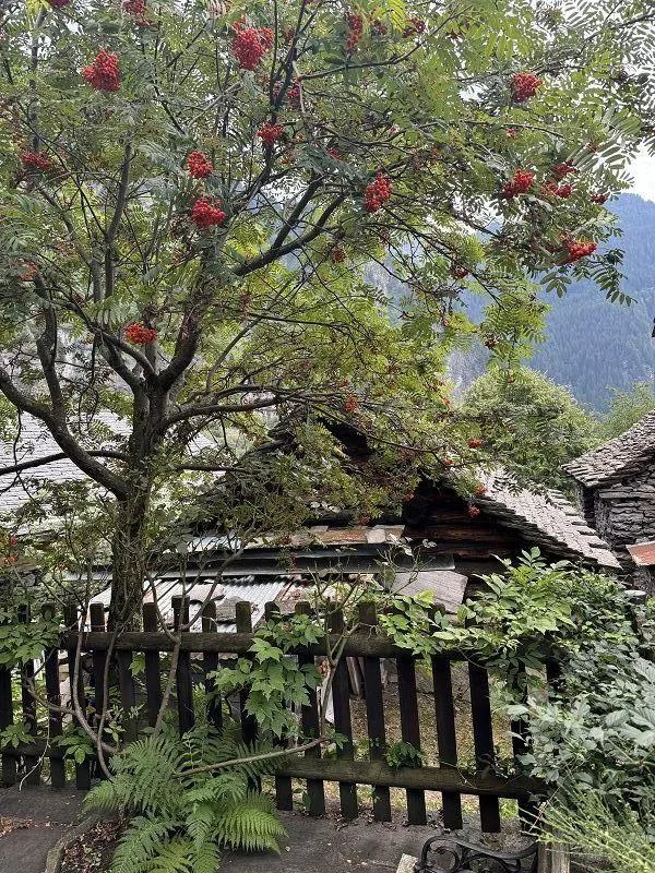 3-Zimmer-Rustico im Dorfkern zu renovieren / rustico di 3 locali ne... – Foto 14 von 23