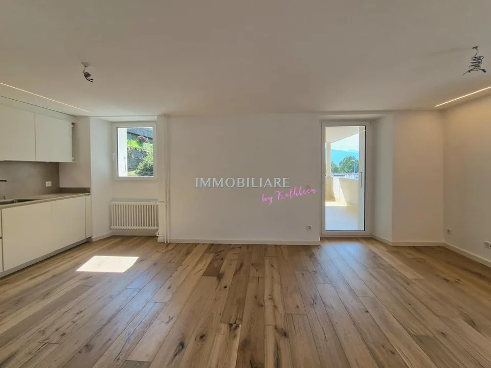 SANIERTE Ferienwohnung mit grosser Terrasse in Tessinerhaus