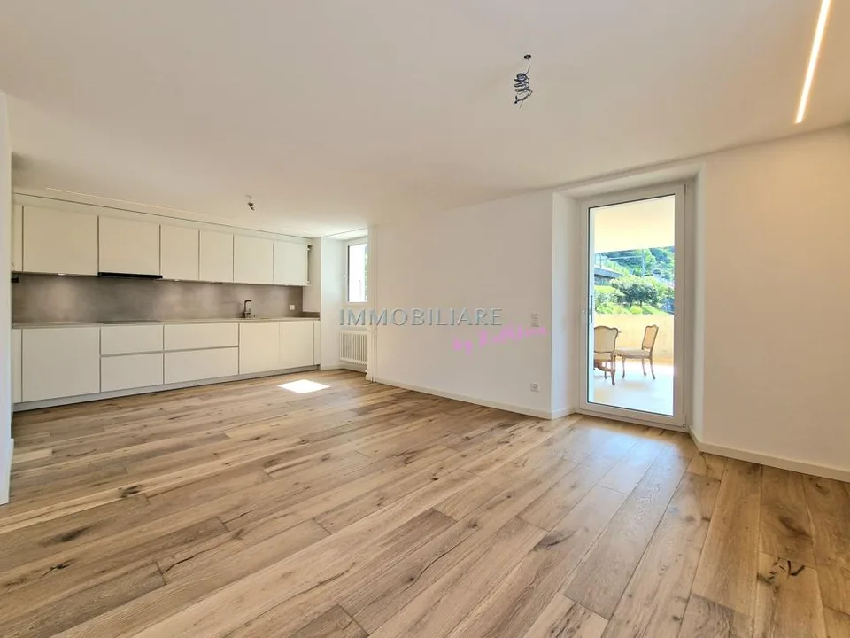 SANIERTE Ferienwohnung mit grosser Terrasse in Tessinerhaus