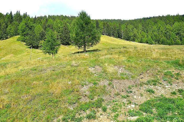 3-Zimmer Rusticohälfte sehr sonnig, ruhig Panoramaaussichtslage/Bel... – Foto 21 von 28