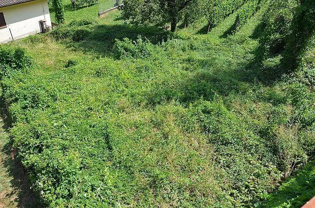 Terreno R2 per la casa unifamiliare di 368 m2 molto soleggiata, pan...