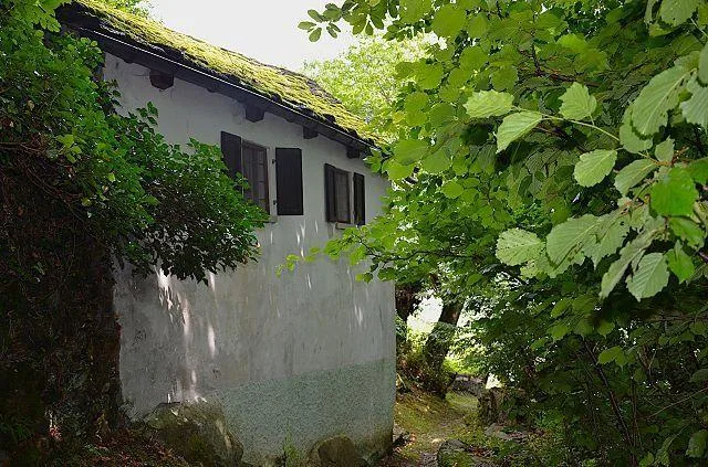 2 1/2-Zimmer-Rustico an sehr ruhiger, sonniger Aussichtslage / Rust... – Foto 22 von 26