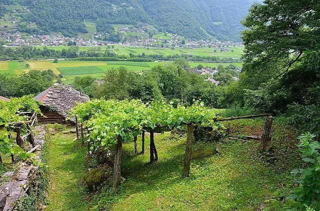 2 1/2-Zimmer-Rustico an sehr ruhiger, sonniger Aussichtslage / Rust... – Foto 19 von 26