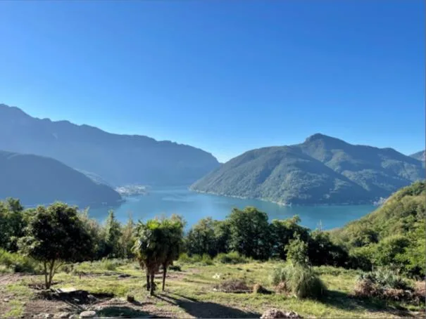 Vendesi 3.5 locali vista lago - Carona – Foto 8 von 9