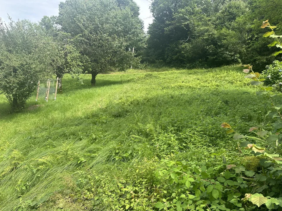 TERRENO EDIFICABILE A CADENAZZO – ID 23571