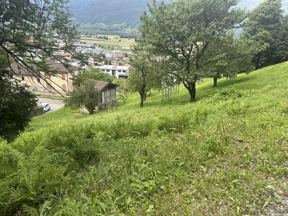TERRENO EDIFICABILE A CADENAZZO – ID 23571
