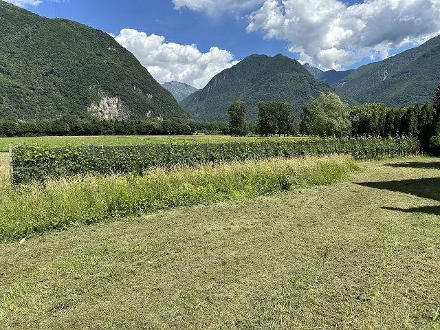 5 1/2.Zimmer-Villa mit Werkhalle am Dorfrand an ruhiger, sonniger L... – Foto 15 von 25