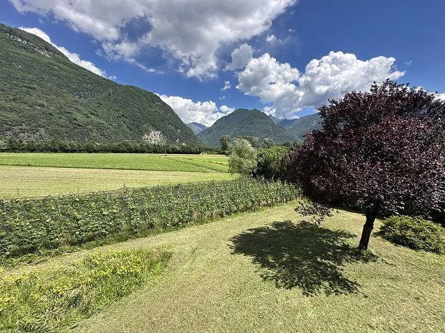 5 1/2.Zimmer-Villa mit Werkhalle am Dorfrand an ruhiger, sonniger L... – Foto 17 von 25