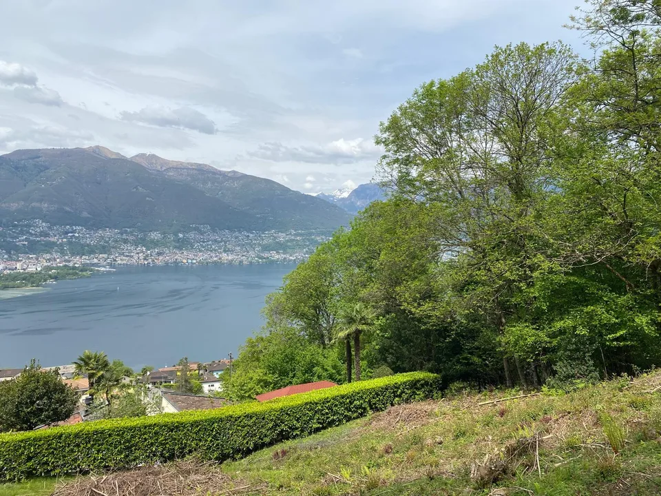 Baulandparzelle in Gambarogno mit herrlicher Aussicht