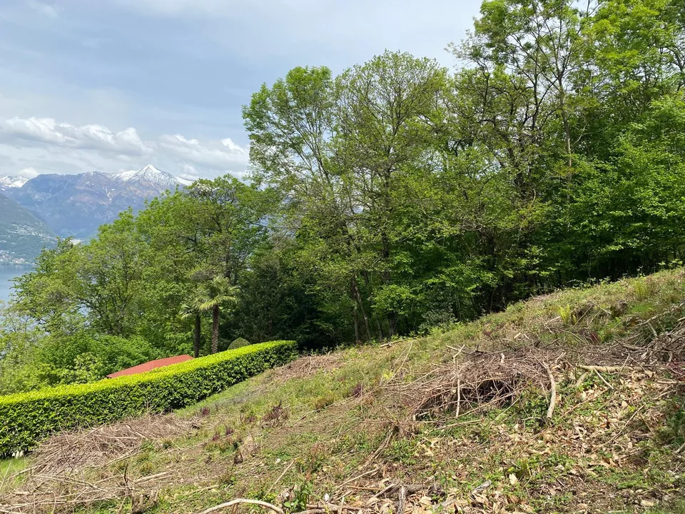 Baulandparzelle in Gambarogno mit herrlicher Aussicht