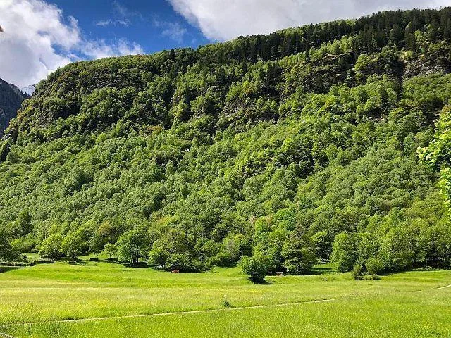 3-Zimmer-Bergrustico an sehr sonniger, ruhiger Aussichtslage / Casc... – Foto 19 von 26