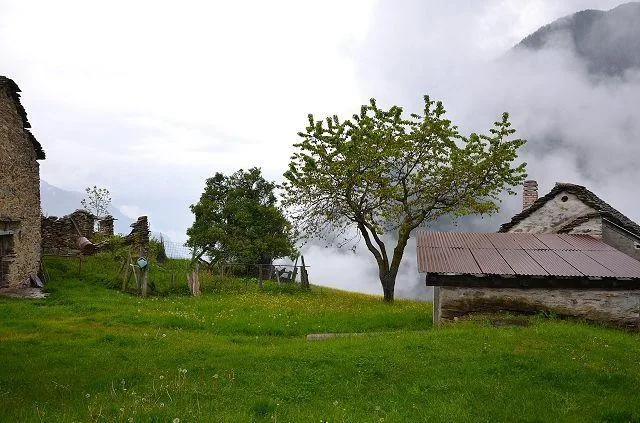 3-Zimmer-Bergrustico an sehr sonniger, ruhiger Aussichtslage / Casc... – Foto 17 von 26