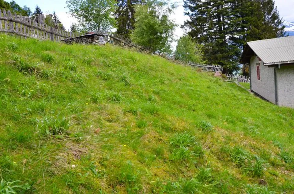 3-Zimmer-Rustico an sehr ruhiger, sonniger Aussichtslage / rustico ... – Foto 22 von 30