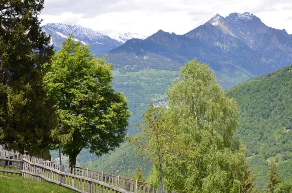 3-Zimmer-Rustico an sehr ruhiger, sonniger Aussichtslage / rustico ... – Foto 19 von 30