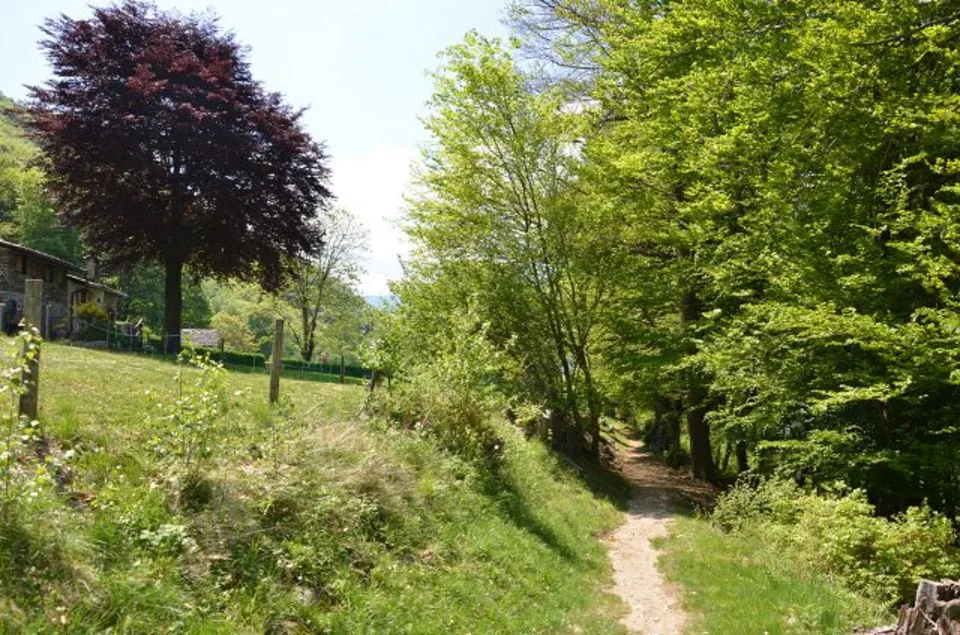 2-Zimmer Rustico in der Natur mit Umschwung / Bel rustcio di 2 loc.... – Foto 11 von 25