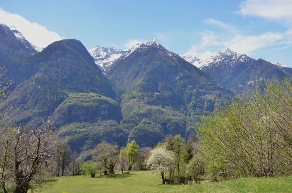 Rustico su 2 piani da ristrutturare con progetto approvato molto so... – Foto 20 von 23