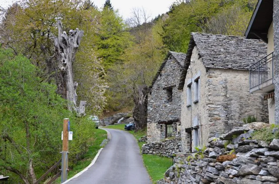Rustico su 2 piani da ristrutturare con progetto approvato molto so... – Foto 21 von 23
