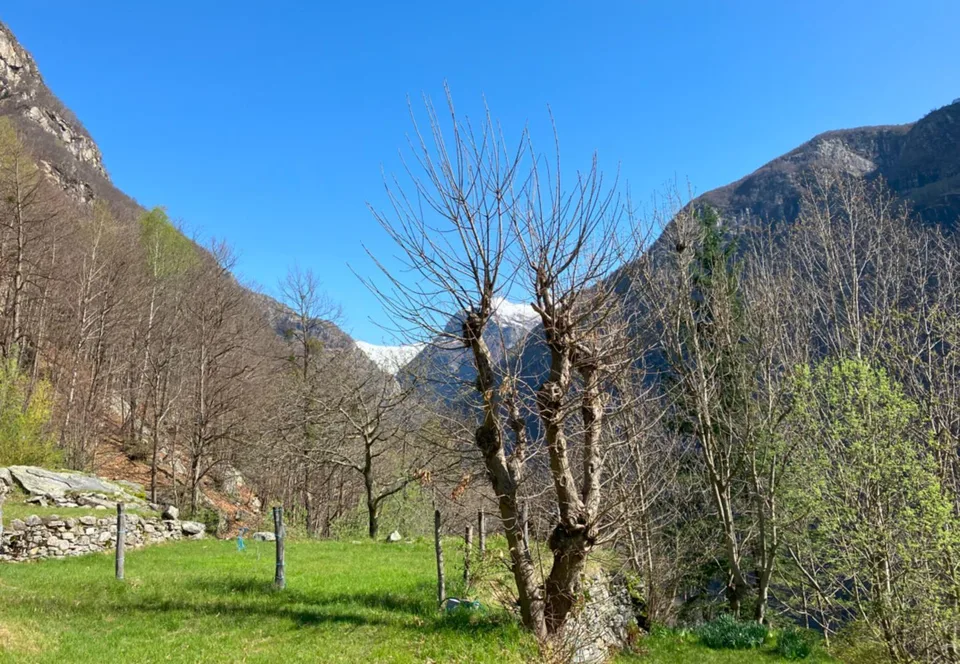Rustico zum Ausbauen mit Wiese an sehr schöner Aussichtslage / rust... – Foto 7 von 9