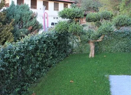 Villa Unifamiliare - Castel San Pietro – Foto 16 von 17