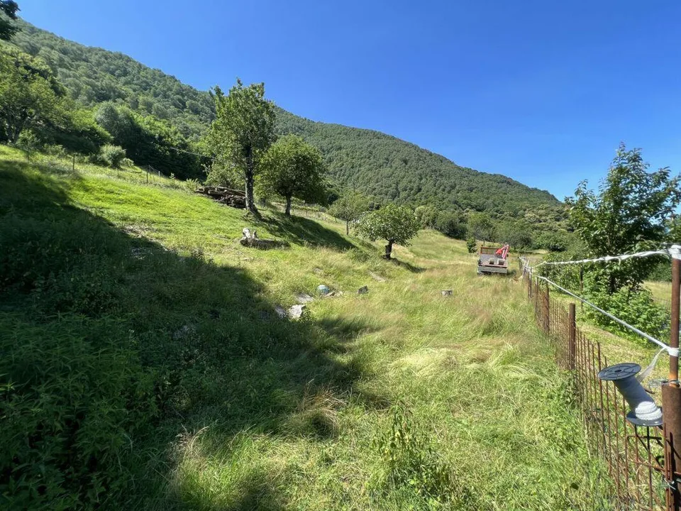 Casa ticinese 6.5 con piscina + rustico 2.5 locali duplex+ terreni – foto 18 di 19