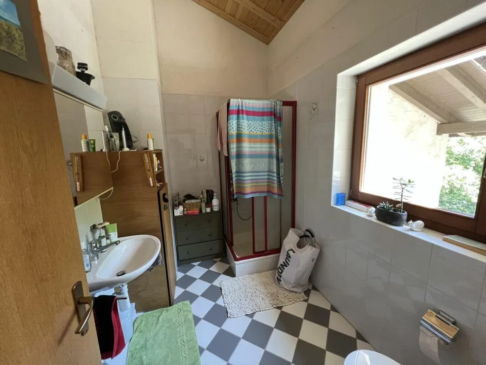Casa ticinese 6.5 con piscina + rustico 2.5 locali duplex+ terreni – foto 6 di 19