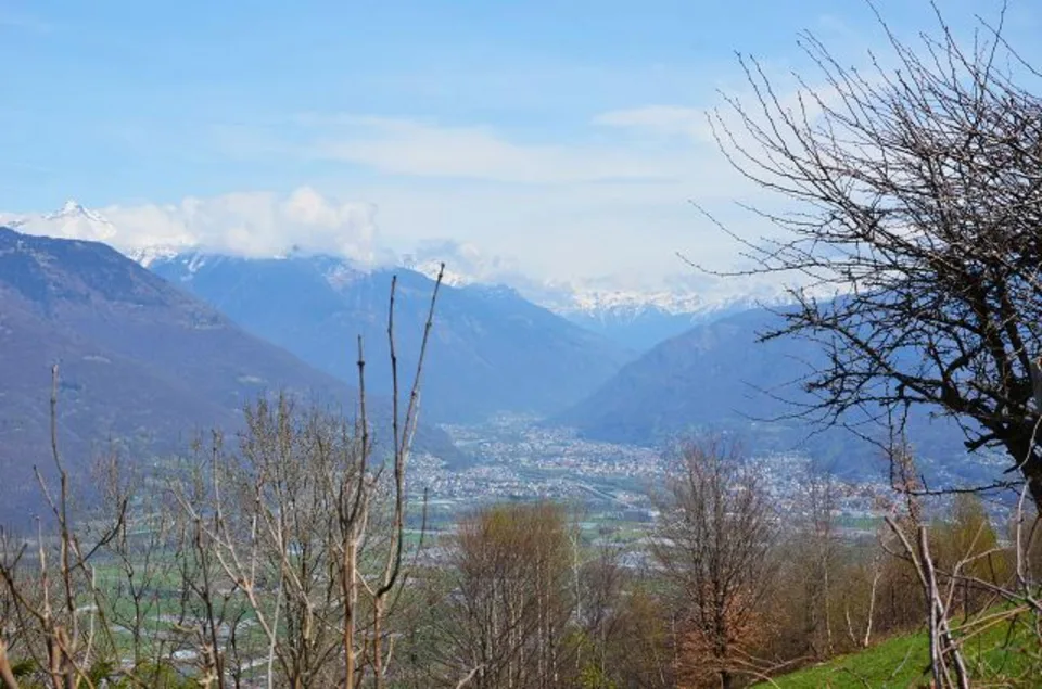 3 1/2-Zimmer-Rustico sehr ruhige, sonnige Aussichtslage / Cascina d... – Foto 20 von 30