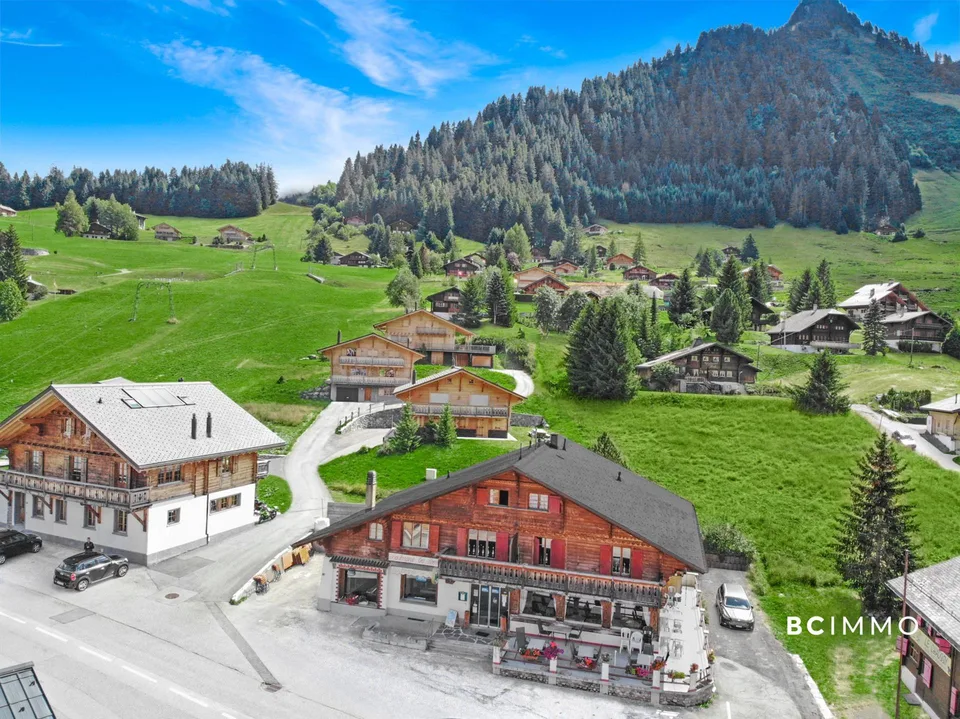 Chalet composé de deux appartements et un commerce