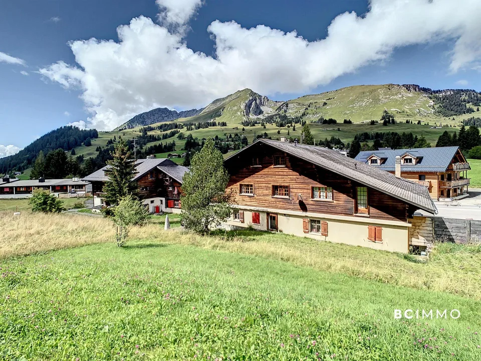 Chalet composé de deux appartements et un commerce