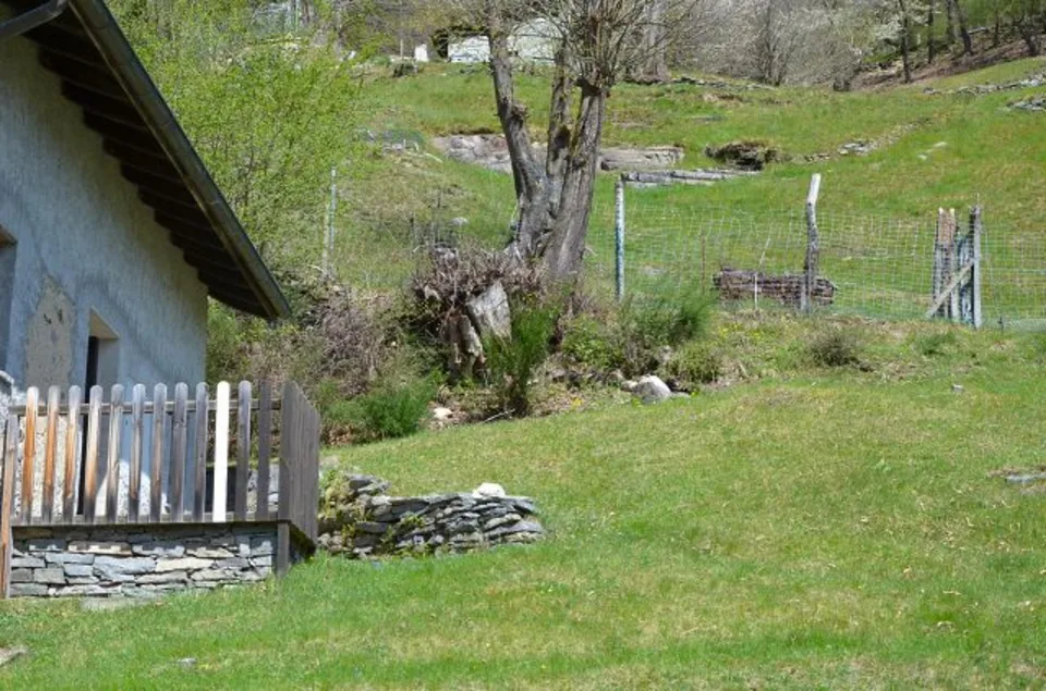 3 1/2-Zimmer-Rustico an sehr ruhiger, sonniger Aussichtslage / Bell... – Foto 23 von 30