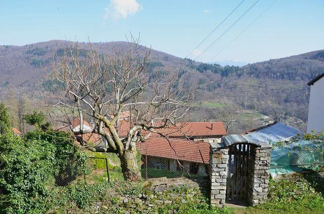 Grande rustico su 2 piani con possibilità di ampliamento molto sole... – Foto 20 von 24