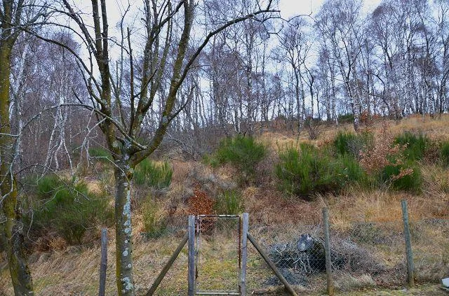 2 Ferienhäuser mit Land in der Natur / 2 rustici con terreno in mez... – Foto 30 von 30