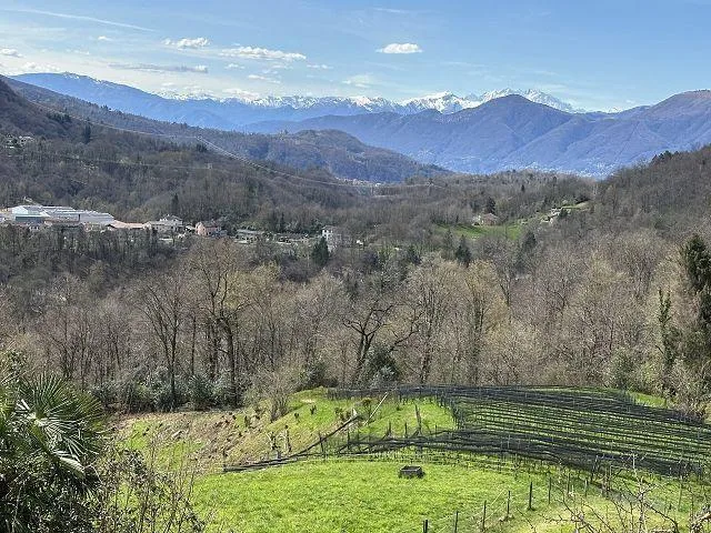 4-Zimmer-Haus zum Renovieren mit viel Land an sehr ruhiger, sonnige... – Foto 15 von 18