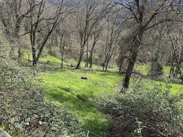 4-Zimmer-Haus zum Renovieren mit viel Land an sehr ruhiger, sonnige... – Foto 12 von 18
