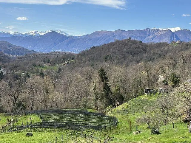 4-Zimmer-Haus zum Renovieren mit viel Land an sehr ruhiger, sonnige... – Foto 8 von 18