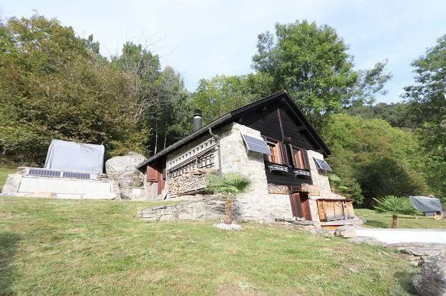 3 1/2-Zimmer-Rustico an Alleinlage an sehr ruhiger, sonniger Aussic... – Foto 28 von 30