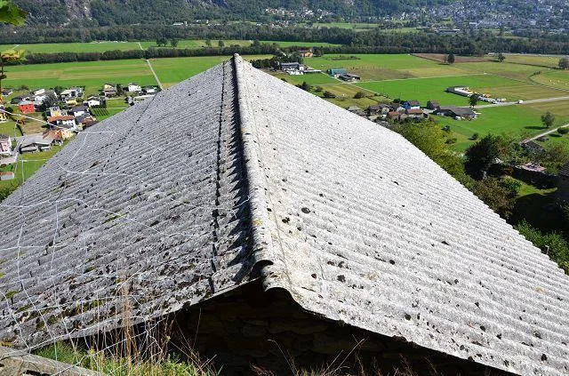 zwei Ställe zum Ausbauen mit Rebberg und viel Land / Cascina di 2 l... – Foto 26 von 30