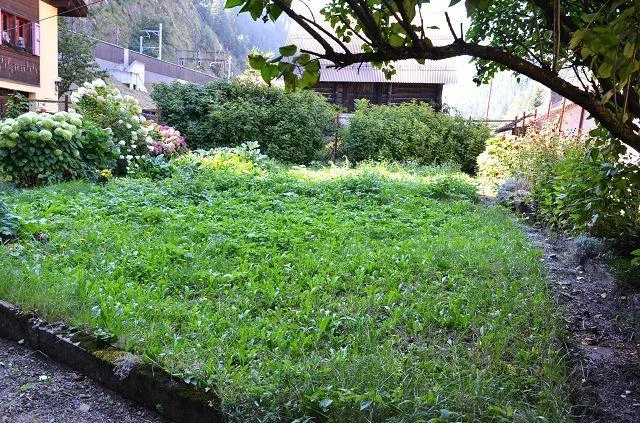Casa plurifamiliare di 3 app. anche a reddito da rinnovare con giar... – Foto 25 von 30