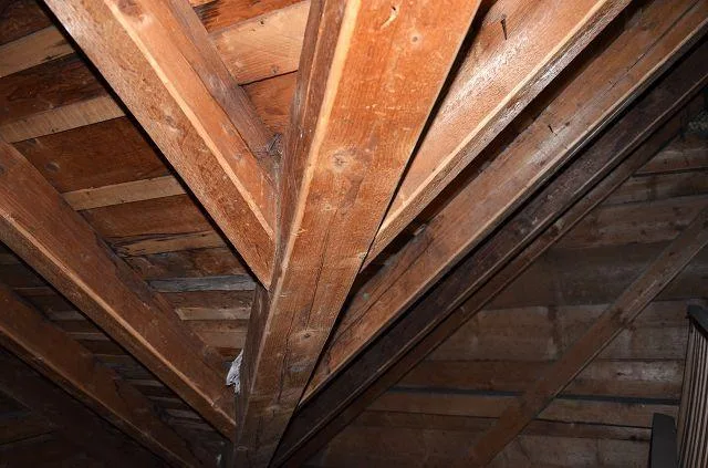 Casa plurifamiliare di 3 app. anche a reddito da rinnovare con giar... – Foto 20 von 30