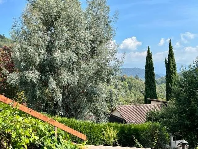 Bella casa ticinese 2,5 locali nel borgo antico