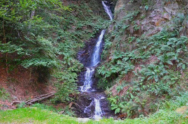 Grande rustico immerso nel bosco con grande terreno / grosses Rusti... – Foto 20 von 27
