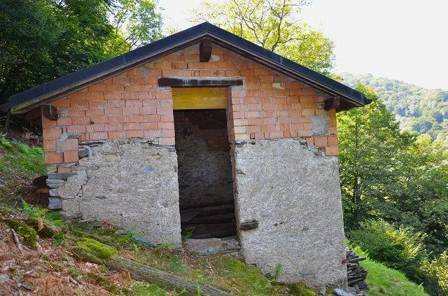 Grande rustico immerso nel bosco con grande terreno / grosses Rusti...